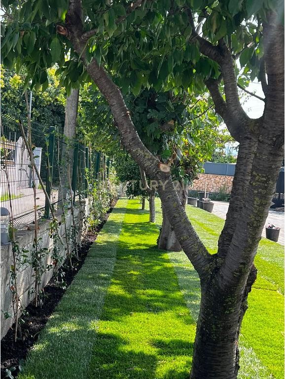 Villa in Affitto, Eleganza e Investimento di Qualità