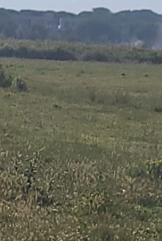 Terreno in vendita nella Baia di Lalzi con documenti regolari