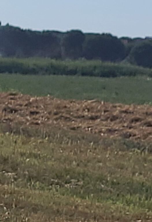 Terreno in vendita nella Baia di Lalzi con documenti regolari