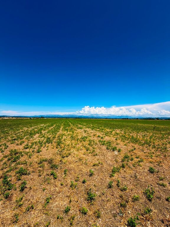 Tokë në Shitje në Zonën Industriale Fllakë, Durrës