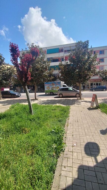 shitet dyqan ne rrug kryesore pran shkolles Pinellopi Pirro