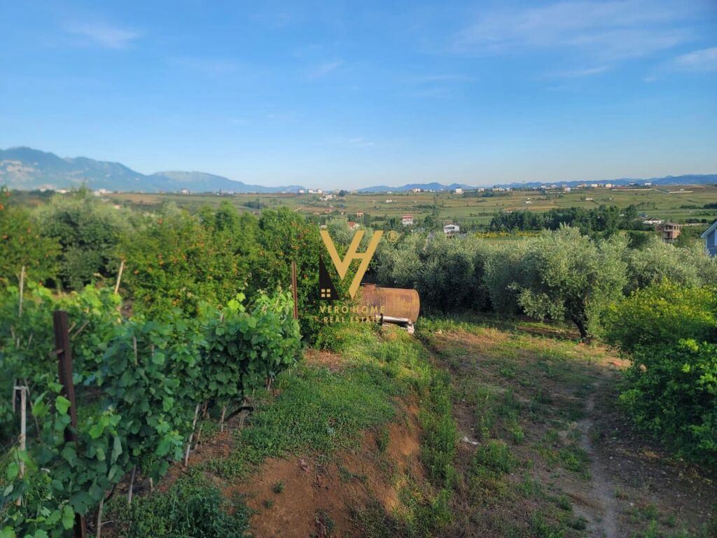 TERRENO 4.000 M2 IN AFFITTO A TAPIZE 1.100 EURO