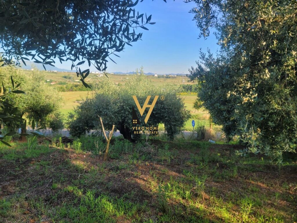 TERRENO 4.000 M2 IN AFFITTO A TAPIZE 1.100 EURO