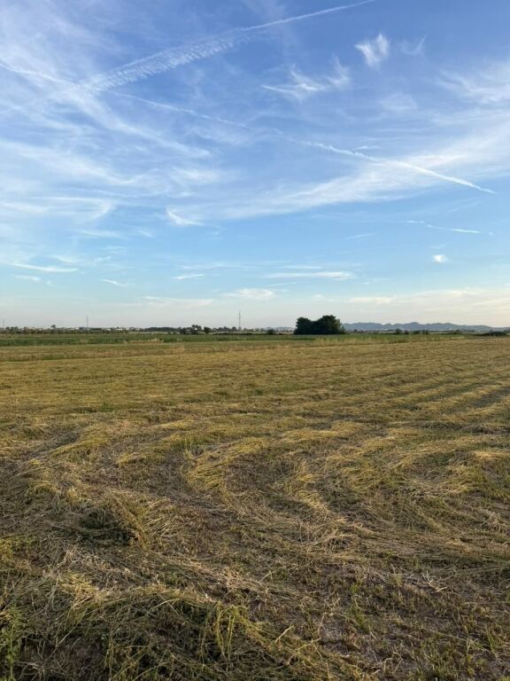Terreno in Vendita a Qerret, Durazzo