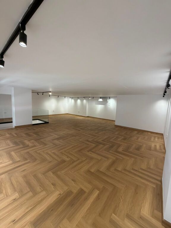 Duplex Business Unit for rent, Delijorgji