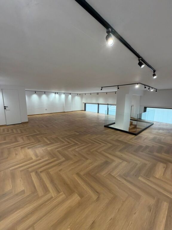 Duplex Business Unit for rent, Delijorgji