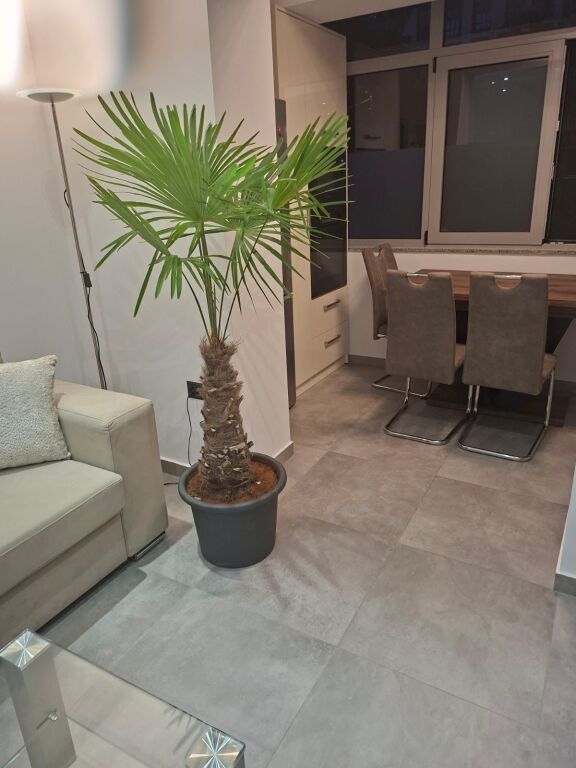 For rent 1+1 Paris Commune 750€