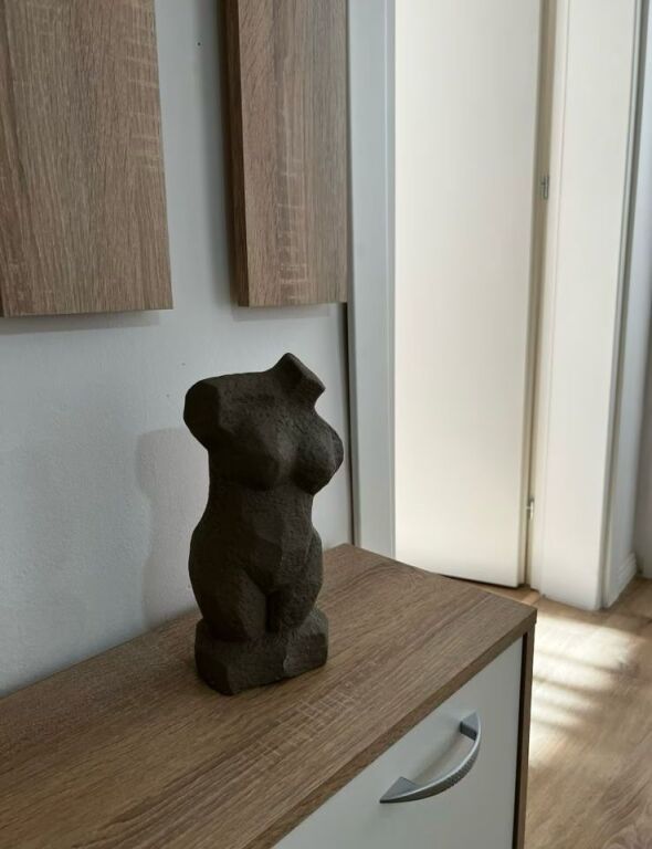 Apartament me qera  2+1+1 Ballkon