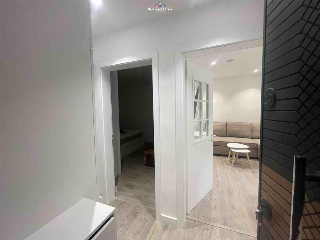 Appartamento In Affitto 1+1 Presso Harry Fultz (ID B211388) Tirana