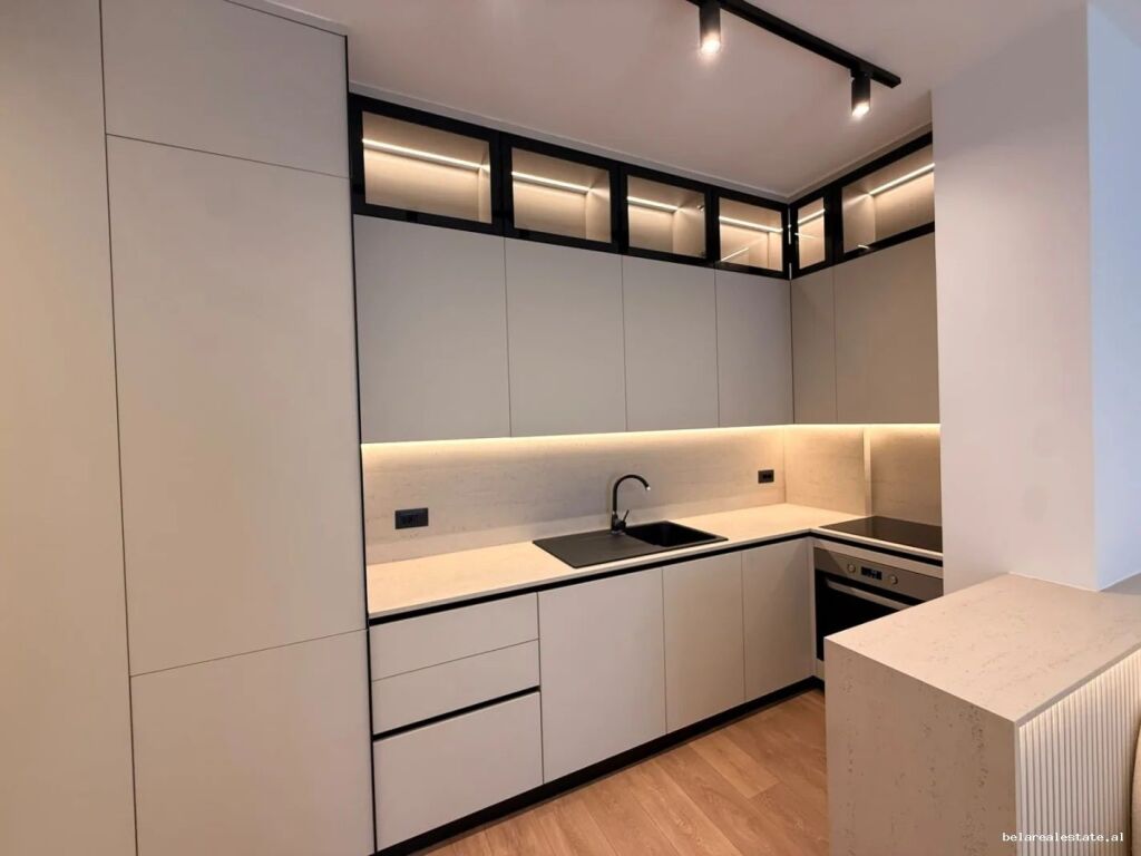 Apartment for rent 1+1 in Porcelan (ID B2101781) Tirane