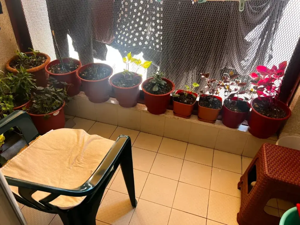 Sale | Apartament 2 + 1 | Kompleksi Magnet | 235000 €