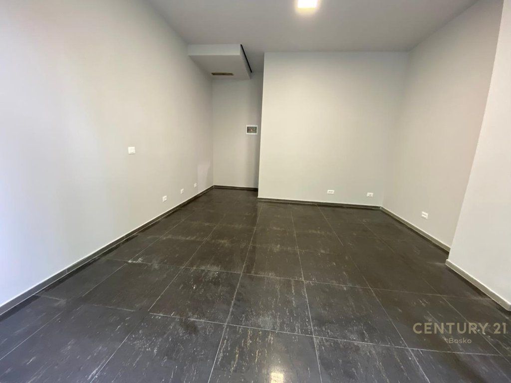 Ambient Biznesi, Zogu i Zi 