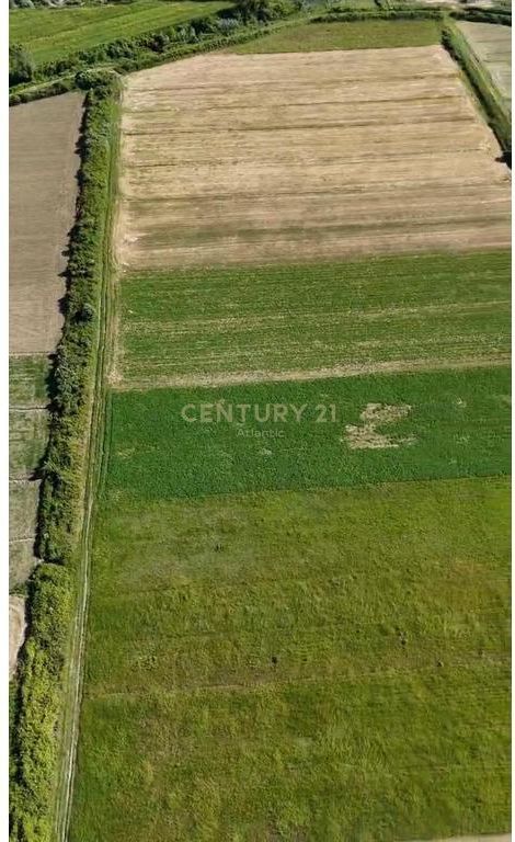 TOKË NË SHITJE – GJIRI I LALZIT BUZE RRUGES KRYESORE!