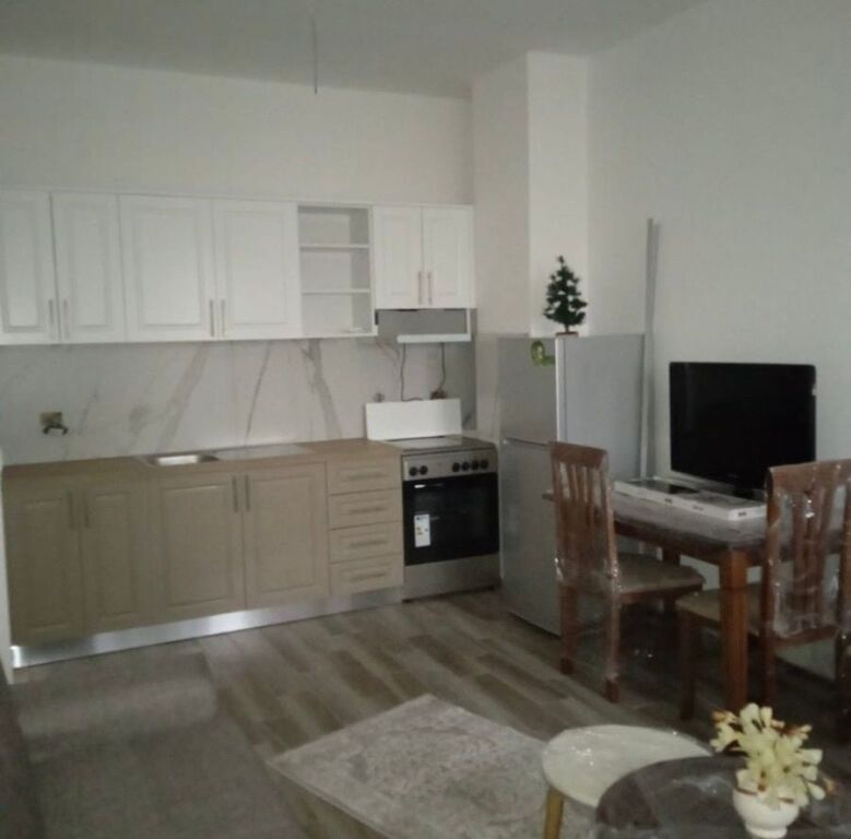 Apartment 1+1 for rent at Aviation Field!