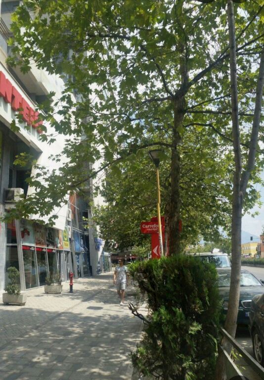 AMBIENT BIZNESI TE CONDOR CENTER
