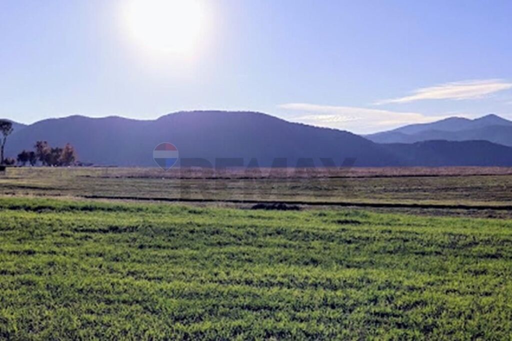Tokë bujqësore - Për Shitje - Bërzhitë, Tiranë