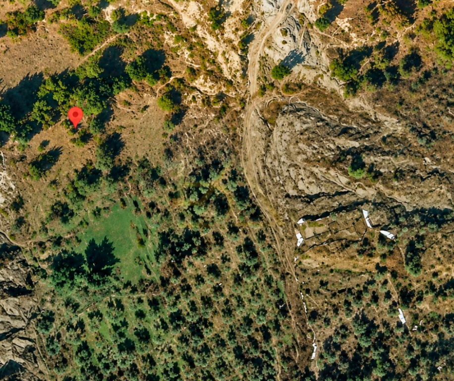 Shitet Tokë Ullishte – Picallë, Tiranë