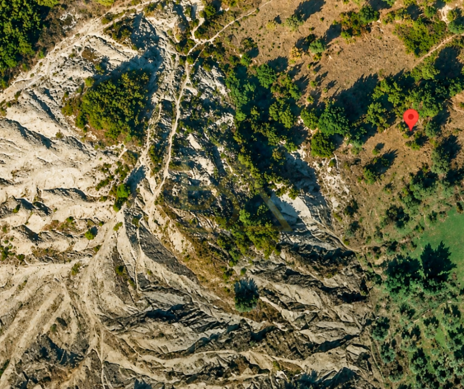 Shitet Tokë Ullishte – Picallë, Tiranë
