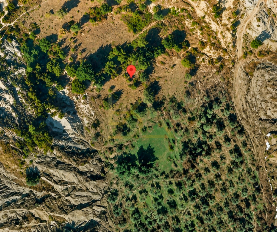 Shitet Tokë Ullishte – Picallë, Tiranë