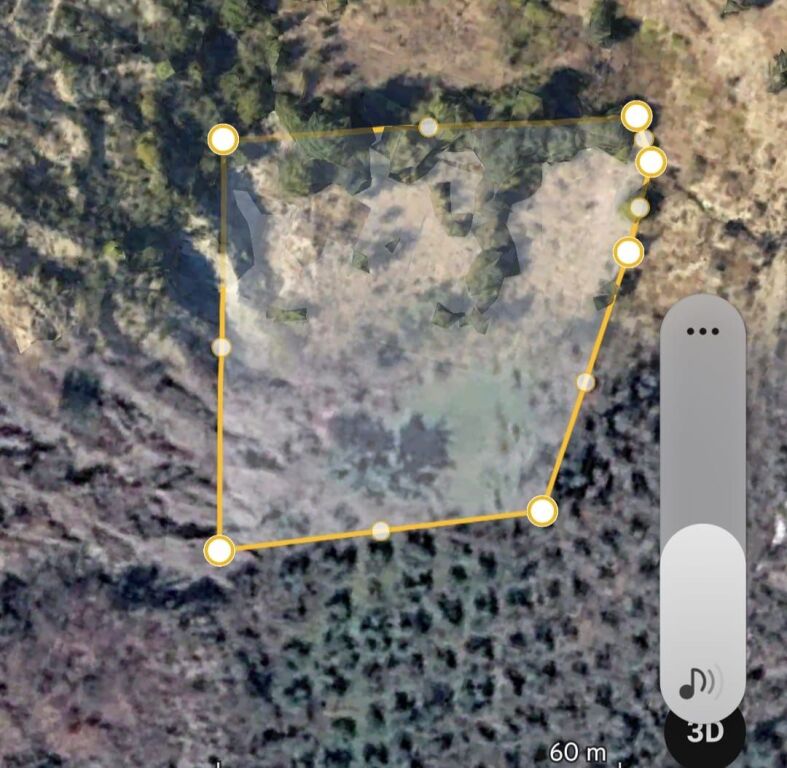 🏡 Olive Grove Land for Sale – Picall, Tirana