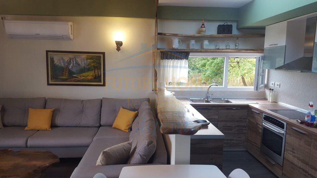 Rent, Apartment 2+1, Dry Lake, Tirana.