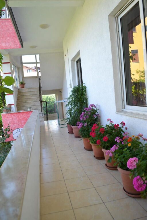 Casa in affitto 1+1