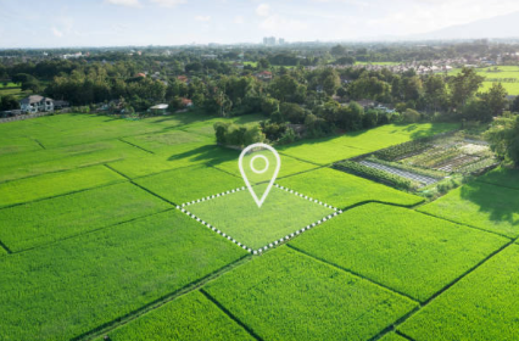 Terreno in Vendita 8.900m2 – Farkë e Vogël, Tirana