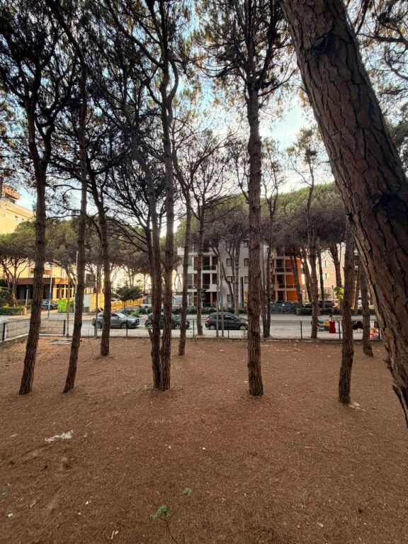 🌊 Apartment 1+1 for Sale – Mal i Robit, just a few meters from the sea!