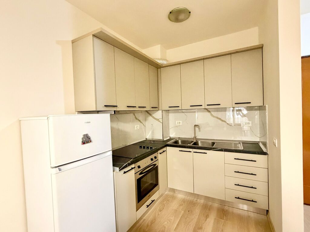 Apartment 1+1 for rent near the Zoo