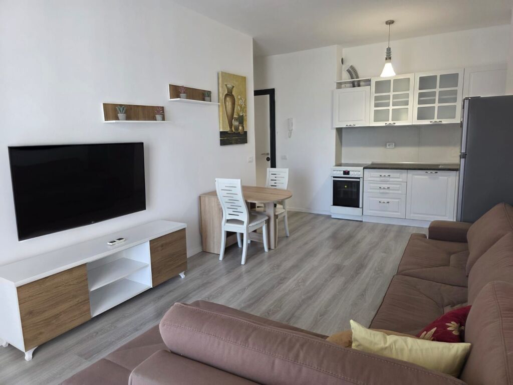 APARTMENT FOR RENT 1+1, DRITAN HOXHA STREET