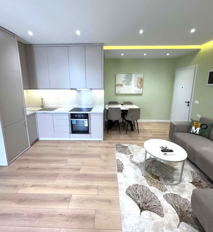 apartment 2+1 for sale, on myslym shyri street
