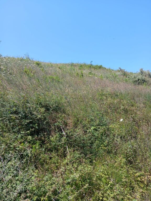 SHITET TOKE 3850 m2 NE ZEMER TE KEPIT TE RODONIT