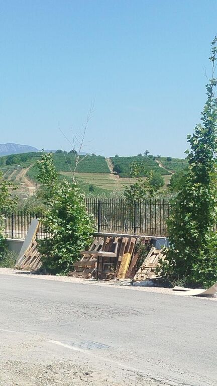 Shitet Toke Lunder me dokumentacion te rregullt.