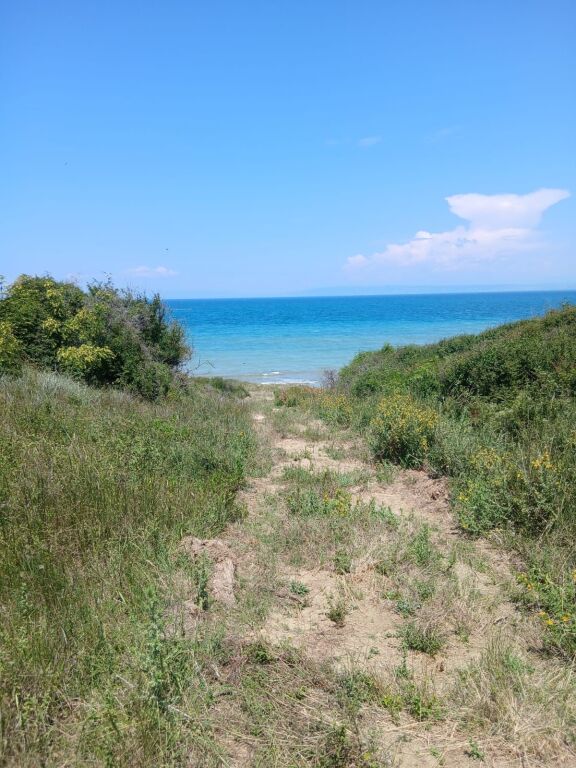 SHITET TOKE 3850 m2 NE ZEMER TE KEPIT TE RODONIT