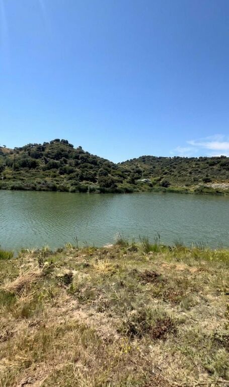 🌿 Shitet Tokë në Spitall, pranë Agroturizëm Ullishtja – Mundësi e Shkëlqyer Investimi