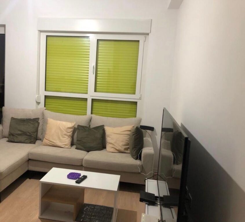 Apartment 1+1 for rent in Ali Dem!