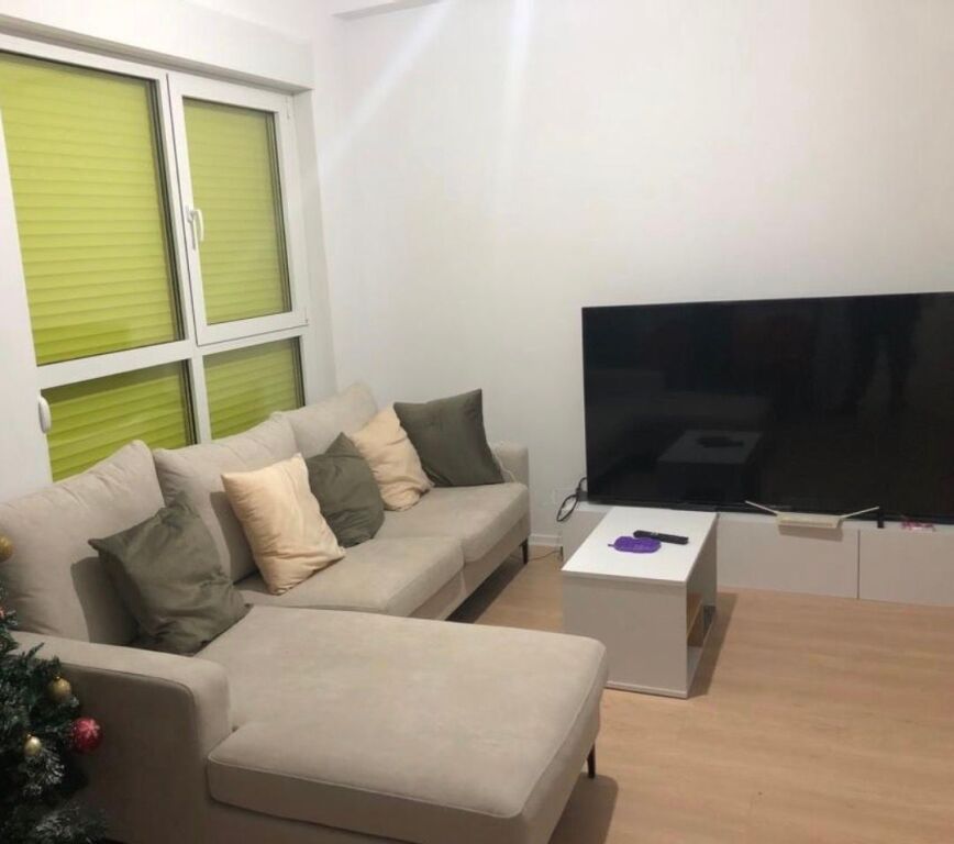 Apartment 1+1 for rent in Ali Dem!