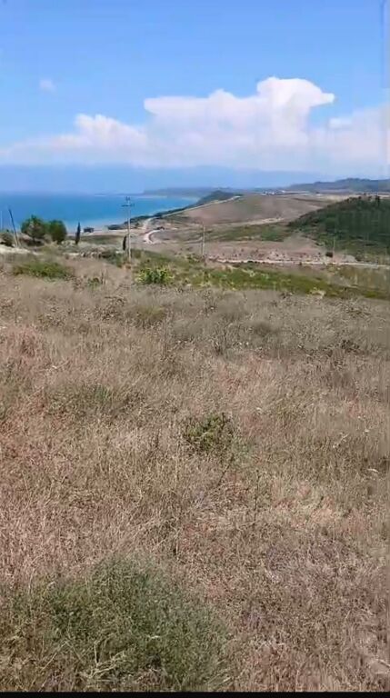 SHITET TOKE 31000 m2 NE KEPIN E RODONIT