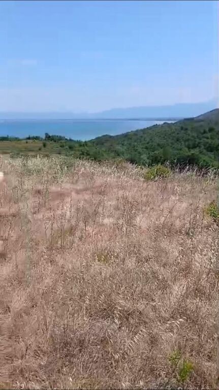 SHITET TOKE 7200 m2 NE KEPIN E RODONIT