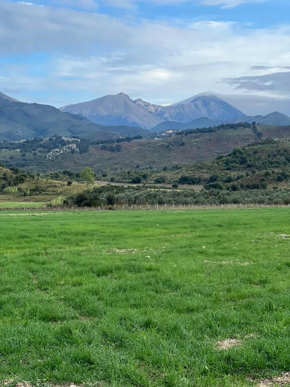 SHITET TOKË ARË 11,000 m² NË TRAGJAS, VLORË – IDEALE PËR AGROTURIZËM DHE INVESTIM
