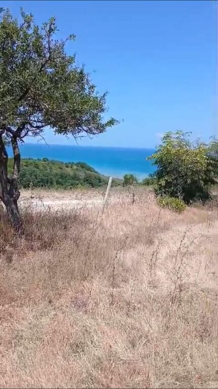 SHITET TOKE 7200 m2 NE KEPIN E RODONIT