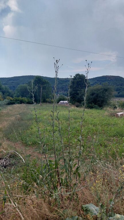 Zall-Herr vende terreno con certificato di proprietà in vendita.  