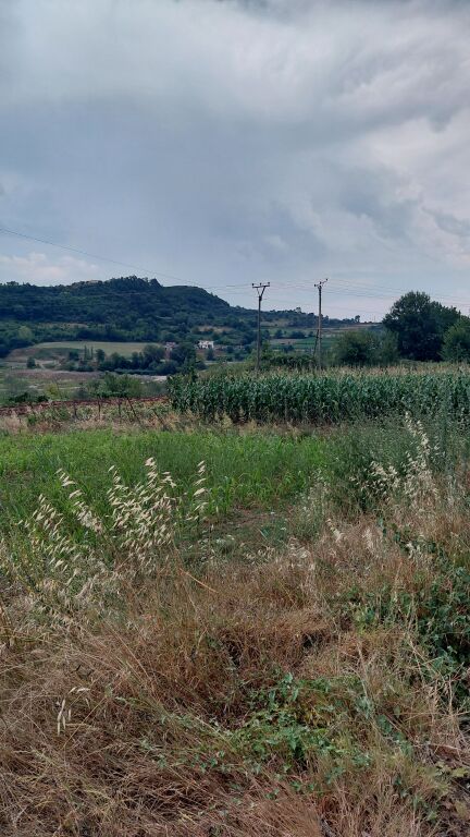 Zall-Herr vende terreno con certificato di proprietà in vendita.  