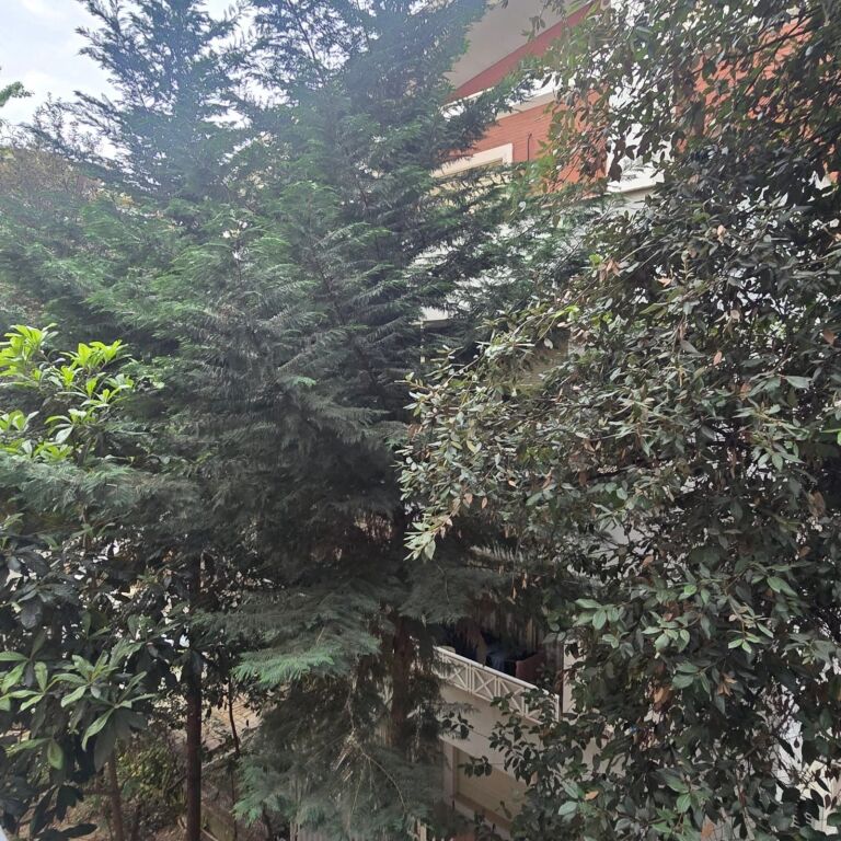Apartment 2+1+2 for sale at Liqeni i Thate