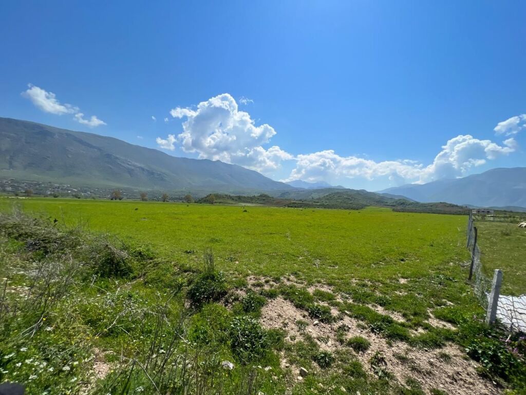 SHITET TOKË ARË 11,000 m² NË TRAGJAS, VLORË – IDEALE PËR AGROTURIZËM DHE INVESTIM
