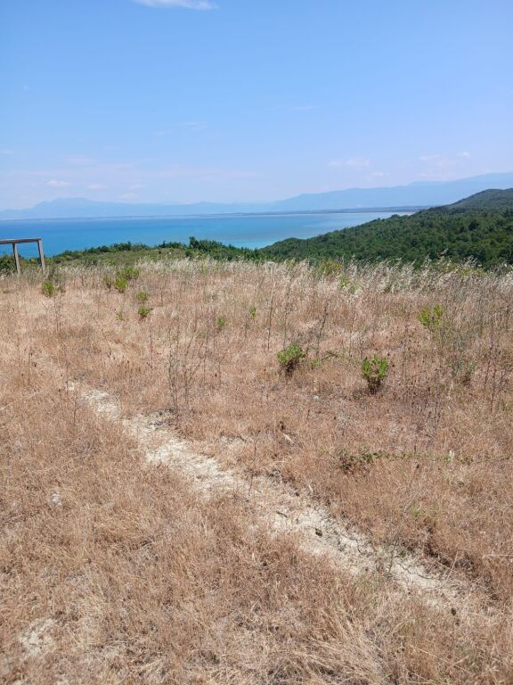 SHITET TOKE 7200 m2 NE KEPIN E RODONIT