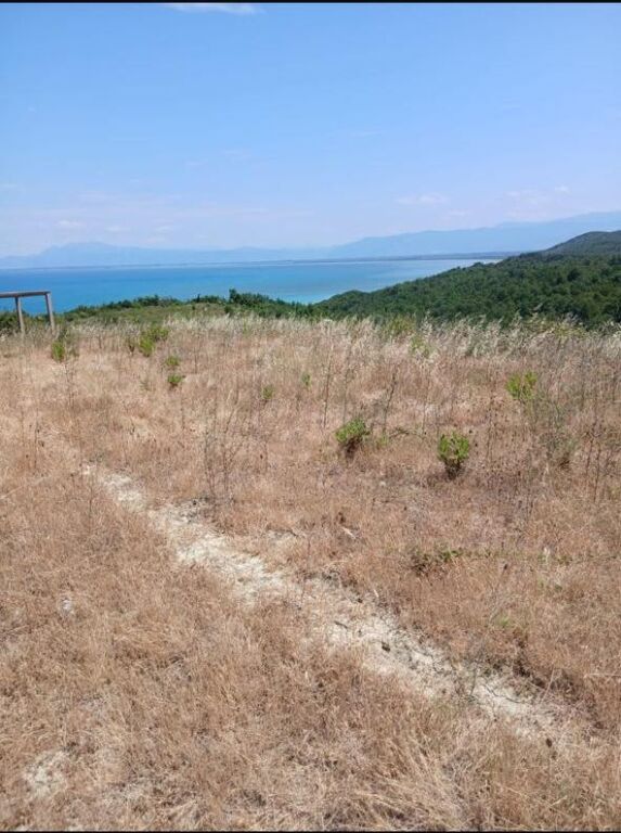 SHITET TOKE 7200 m2 NE KEPIN E RODONIT