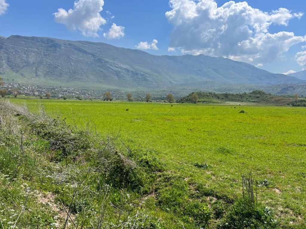 SHITET TOKË ARË 11,000 m² NË TRAGJAS, VLORË – IDEALE PËR AGROTURIZËM DHE INVESTIM