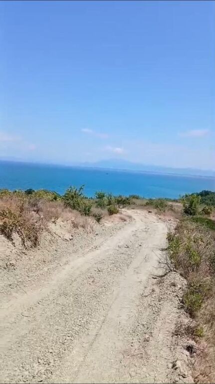 SHITET TOKE 31000 m2 NE KEPIN E RODONIT