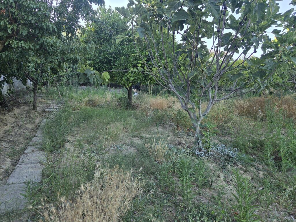 vende casa privata